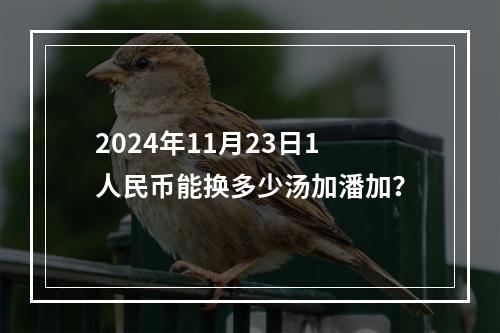 2024年11月23日1人民币能换多少汤加潘加？