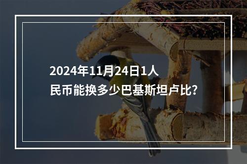 2024年11月24日1人民币能换多少巴基斯坦卢比？