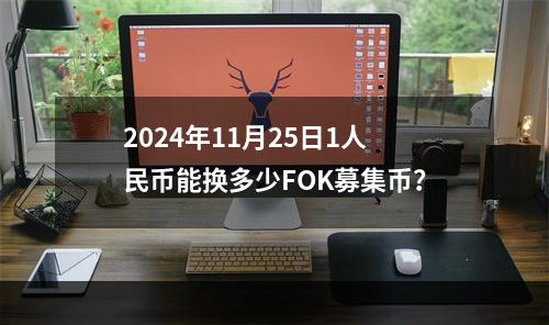 2024年11月25日1人民币能换多少FOK募集币？