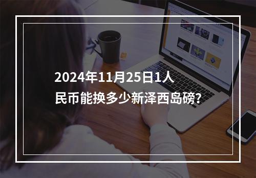 2024年11月25日1人民币能换多少新泽西岛磅？