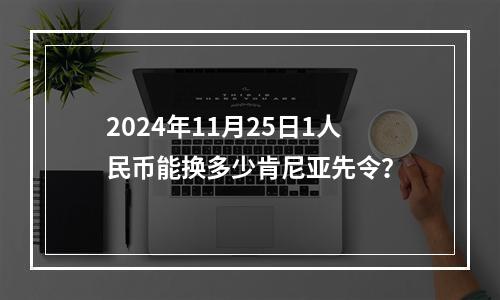 2024年11月25日1人民币能换多少肯尼亚先令？