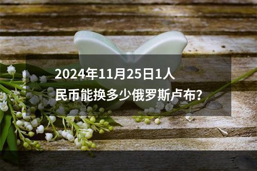 2024年11月25日1人民币能换多少俄罗斯卢布？