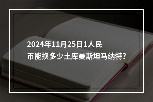 2024年11月25日1人民币能换多少土库曼斯坦马纳特？