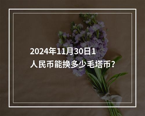 2024年11月30日1人民币能换多少毛塔币？