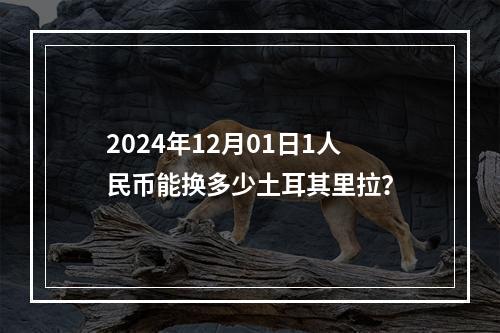 2024年12月01日1人民币能换多少土耳其里拉？