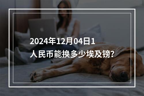 2024年12月04日1人民币能换多少埃及镑？