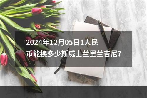 2024年12月05日1人民币能换多少斯威士兰里兰吉尼？