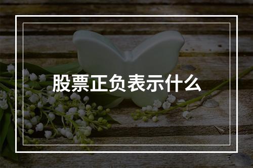 股票正负表示什么