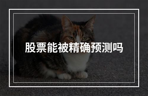 股票能被精确预测吗