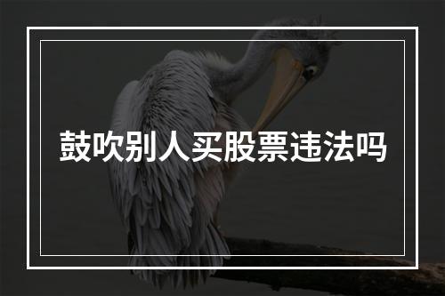 鼓吹别人买股票违法吗