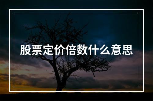 股票定价倍数什么意思