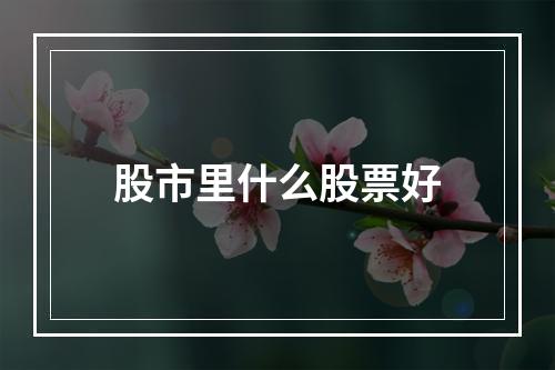 股市里什么股票好