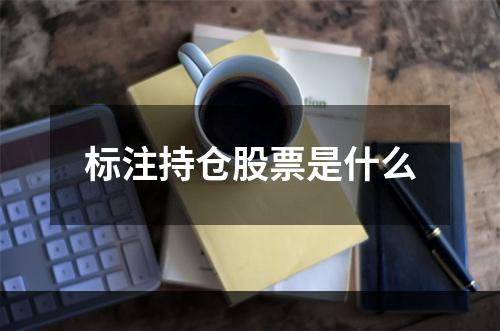 标注持仓股票是什么