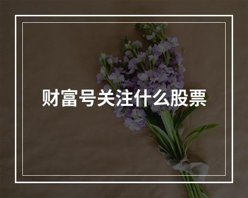 财富号关注什么股票