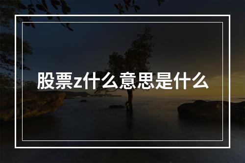 股票z什么意思是什么