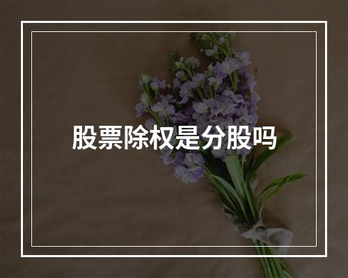 股票除权是分股吗