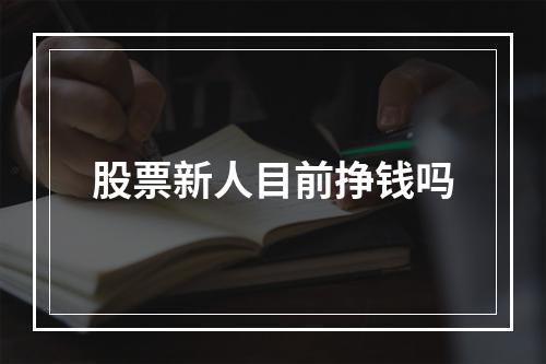 股票新人目前挣钱吗