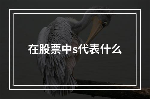 在股票中s代表什么