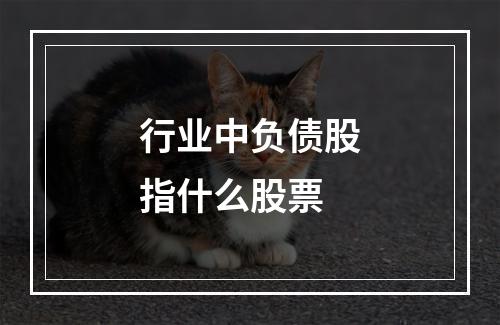 行业中负债股指什么股票