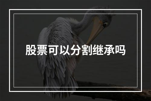 股票可以分割继承吗