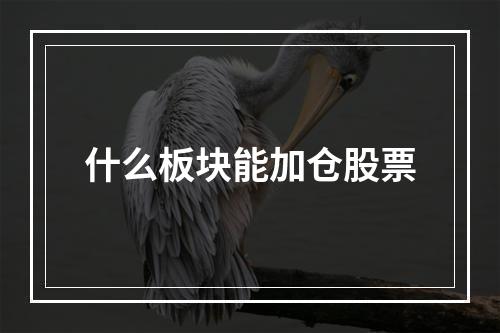 什么板块能加仓股票