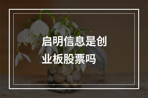 启明信息是创业板股票吗