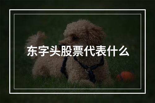 东字头股票代表什么