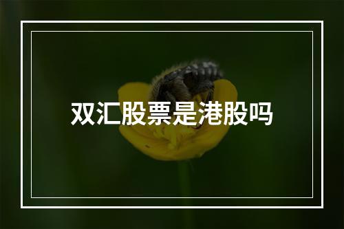 双汇股票是港股吗