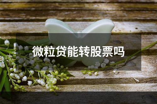 微粒贷能转股票吗