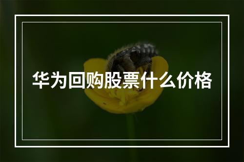 华为回购股票什么价格