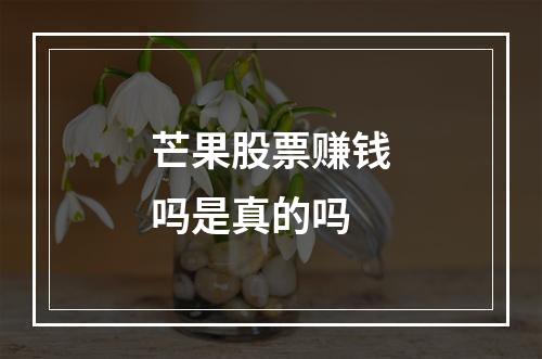 芒果股票赚钱吗是真的吗