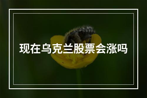 现在乌克兰股票会涨吗