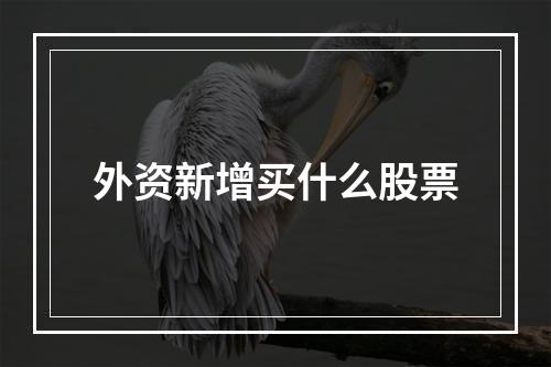 外资新增买什么股票