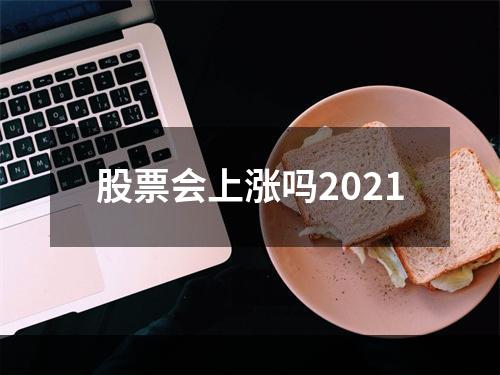 股票会上涨吗2021