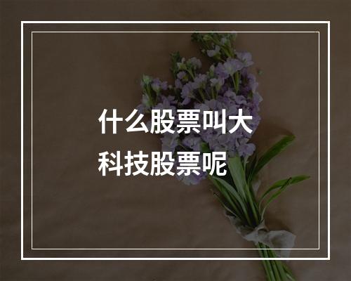 什么股票叫大科技股票呢