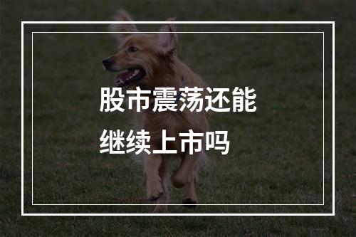 股市震荡还能继续上市吗