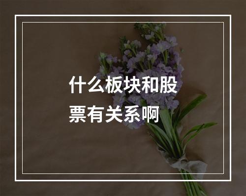 什么板块和股票有关系啊