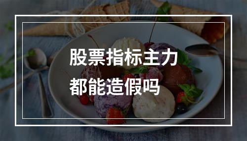 股票指标主力都能造假吗