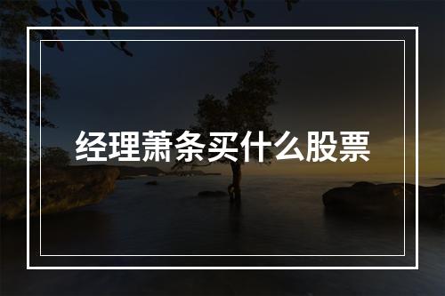 经理萧条买什么股票