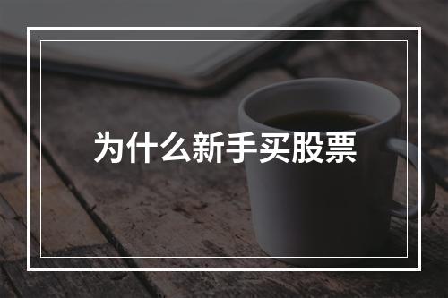 为什么新手买股票