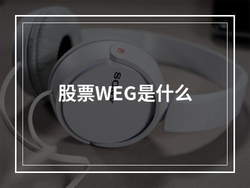 股票WEG是什么