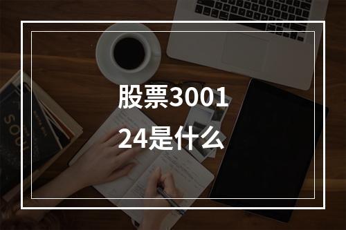 股票300124是什么