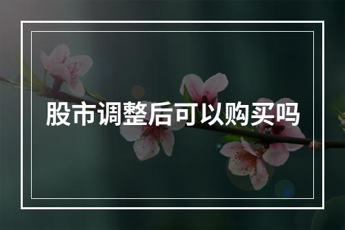 股市调整后可以购买吗