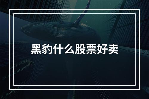 黑豹什么股票好卖