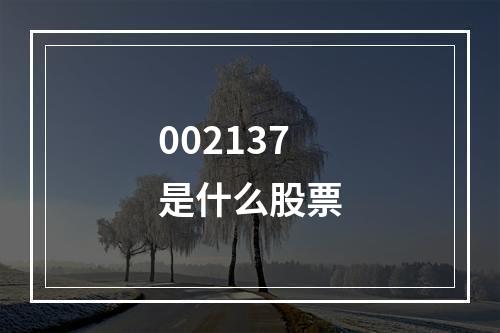 002137是什么股票