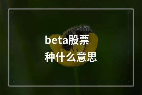 beta股票种什么意思