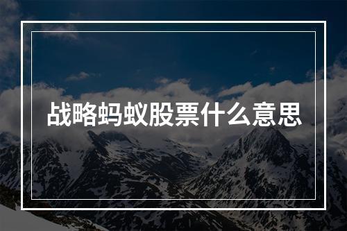 战略蚂蚁股票什么意思