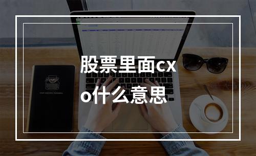 股票里面cxo什么意思