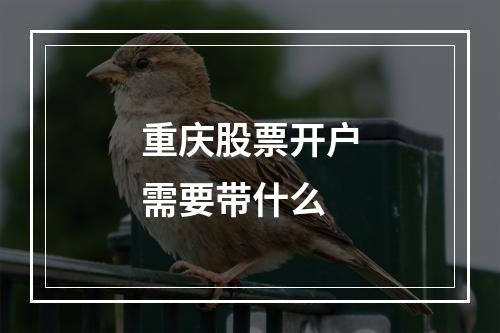 重庆股票开户需要带什么