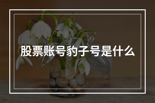 股票账号豹子号是什么